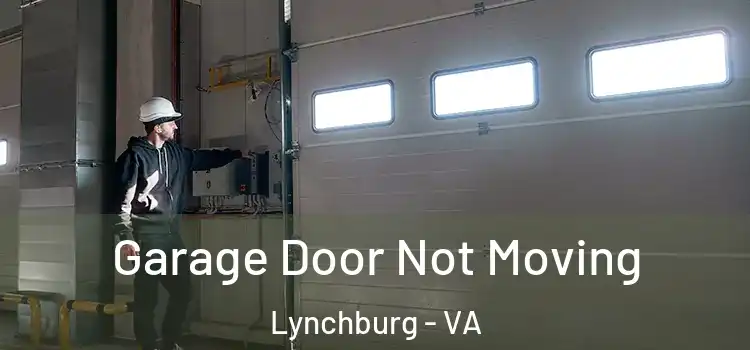 Garage Door Not Moving Lynchburg - VA
